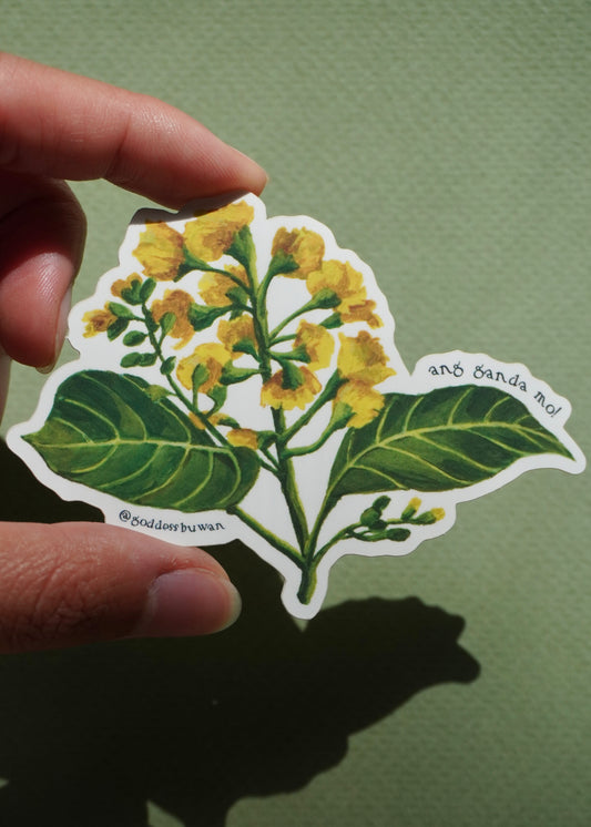 “Ang ganda mo!” Sticker (Narra)