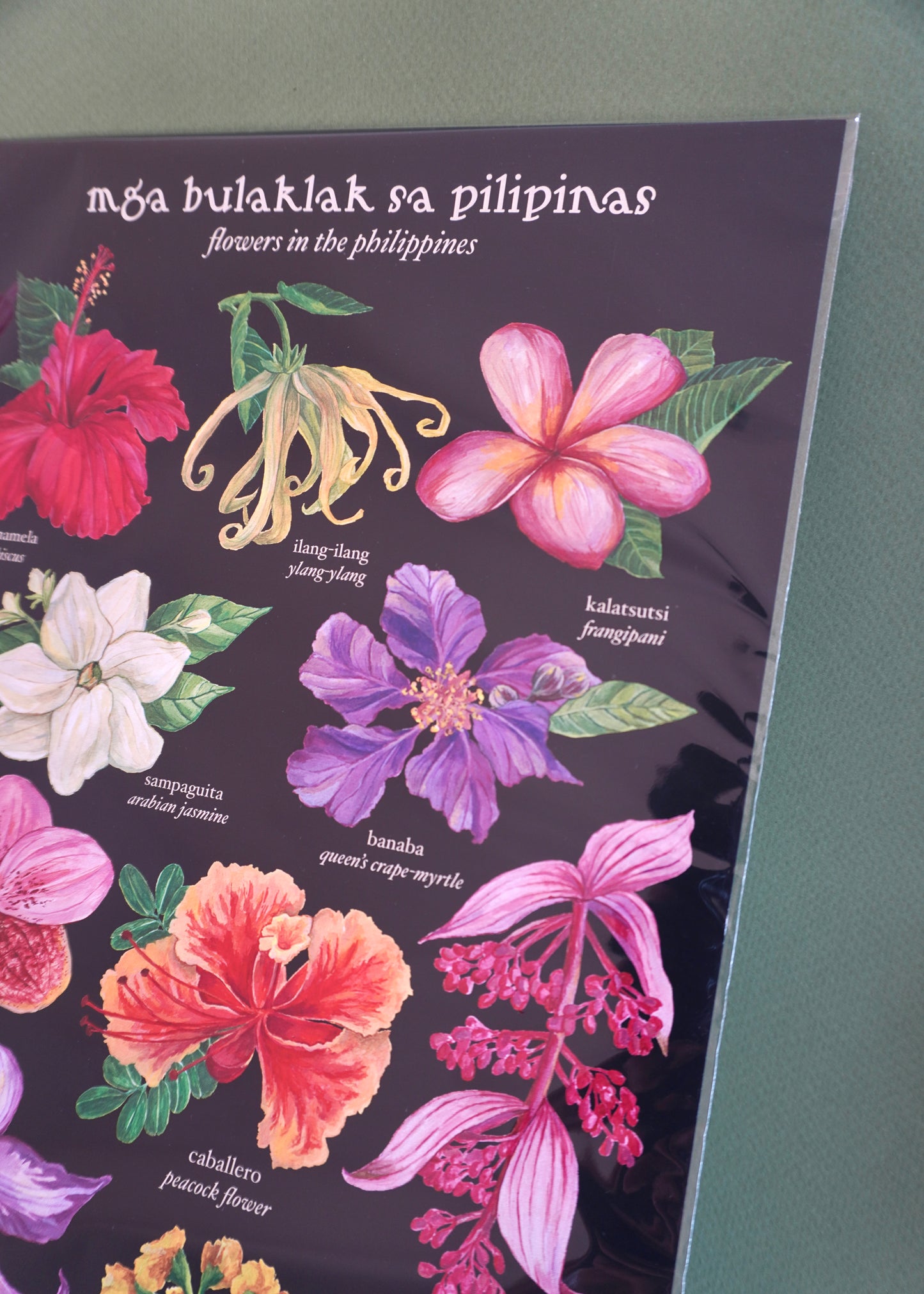 “Mga Bulalak sa Pilipinas” A4 Print (Black)